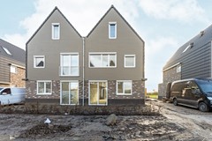 03-Moerasorchidee 29 - Lelystad.JPG